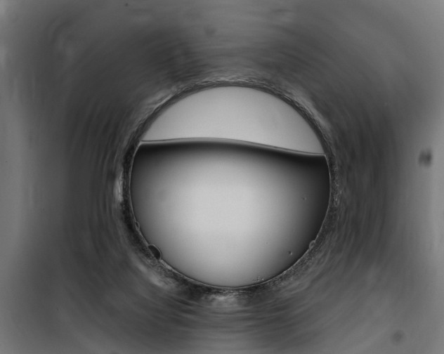 X0000100760068200806190919