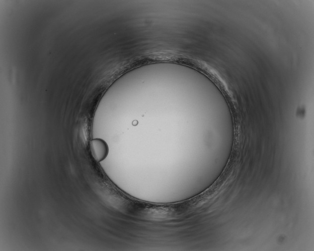 X0000100760069200806190919