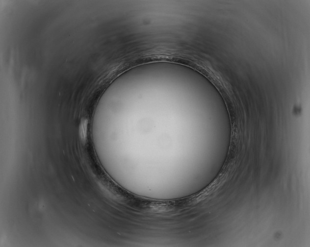 X0000100760070200806190919