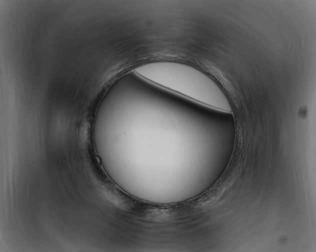 X0000100760071200806190919