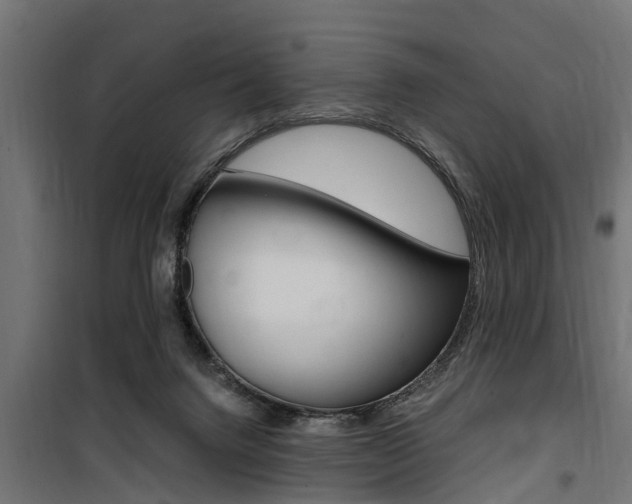 X0000100760072200806190919