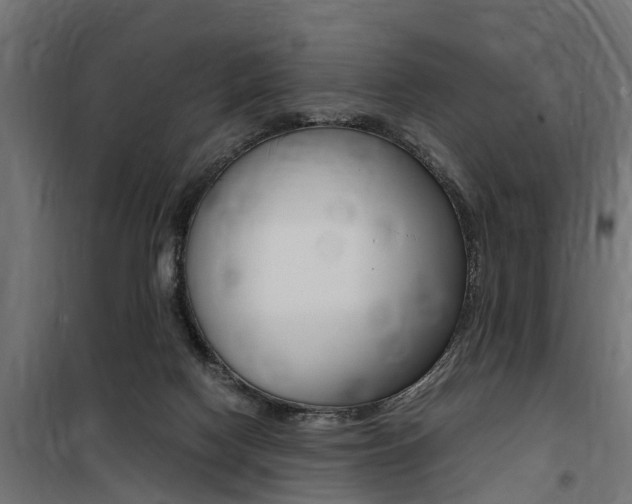 X0000100760074200806190919