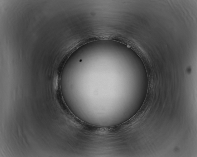 X0000100760076200806190919