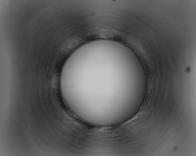 X0000100760078200806190919