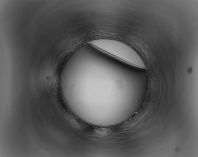 X0000100760079200806190919