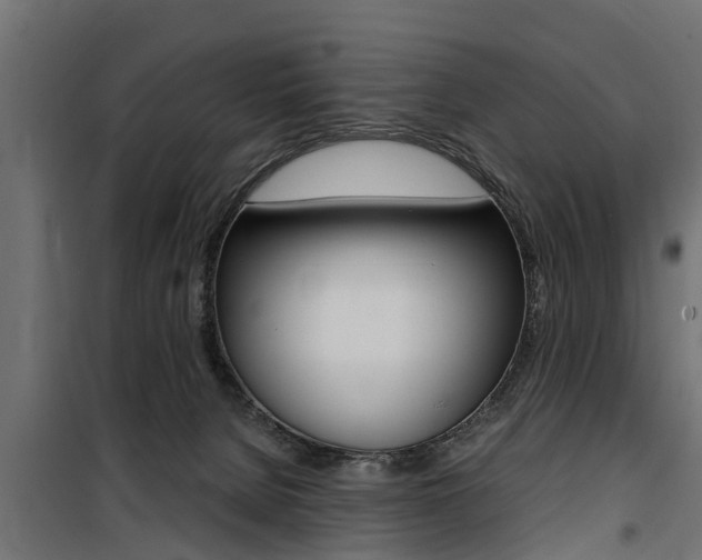 X0000100760080200806190919