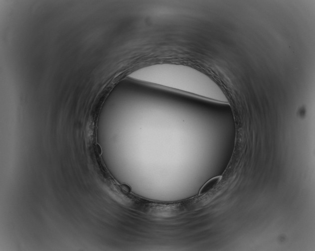 X0000100760081200806190919