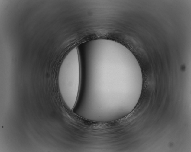 X0000100760082200806190919