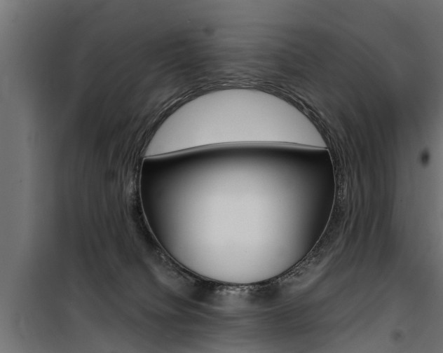 X0000100760084200806190919