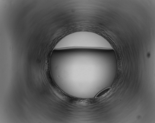 X0000100760086200806190919