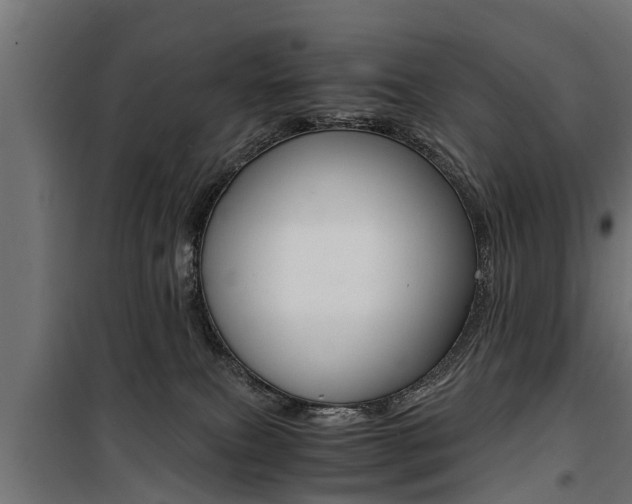 X0000100760087200806190919