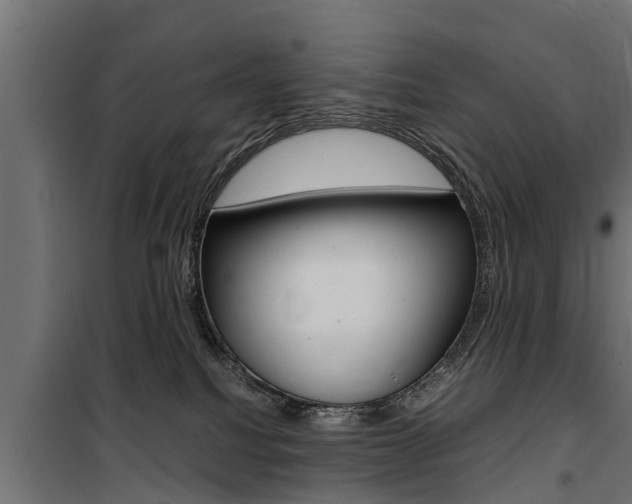 X0000100760088200806190919