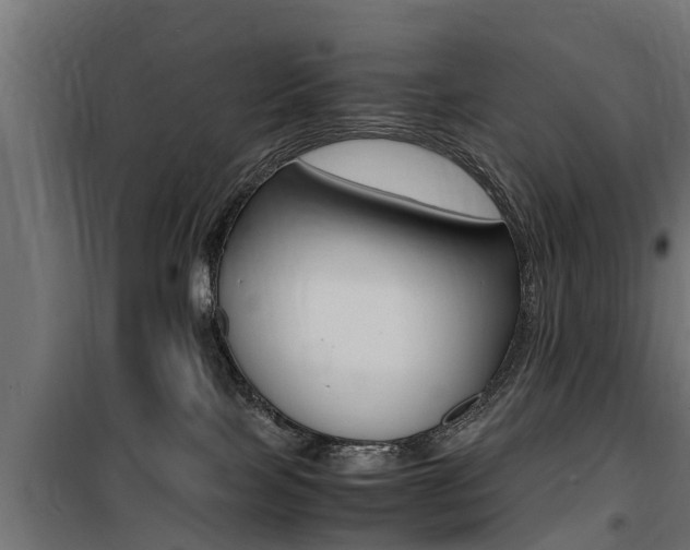 X0000100760089200806190919