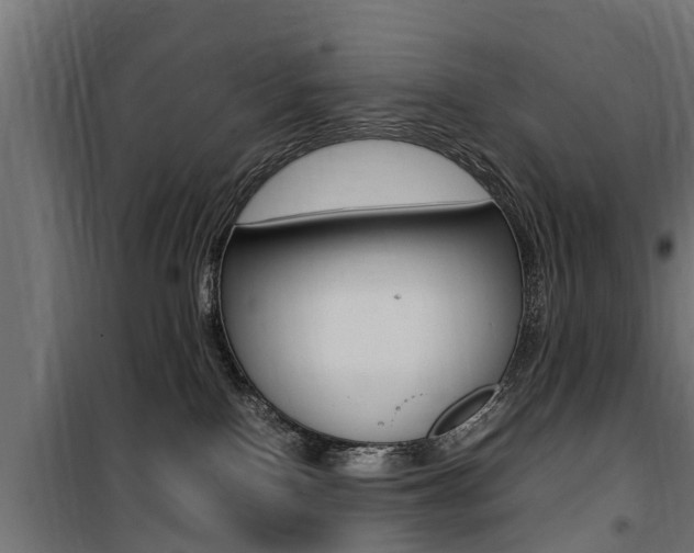 X0000100760090200806190919