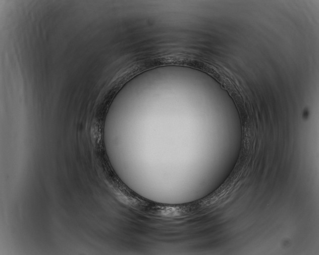 X0000100760091200806190919