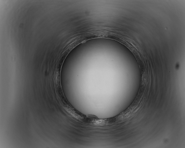 X0000100760092200806190919