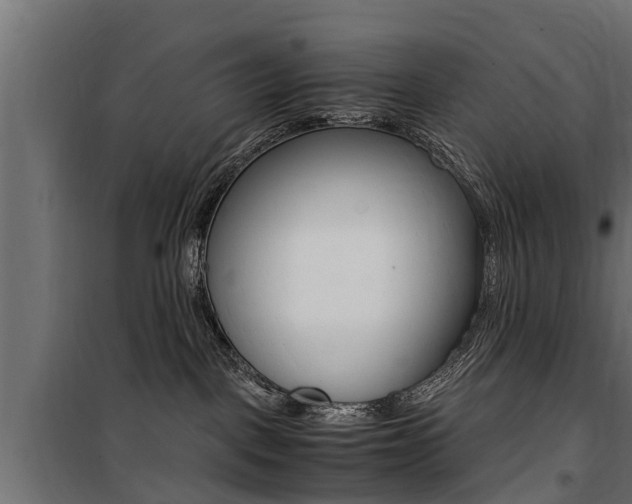 X0000100760093200806190920