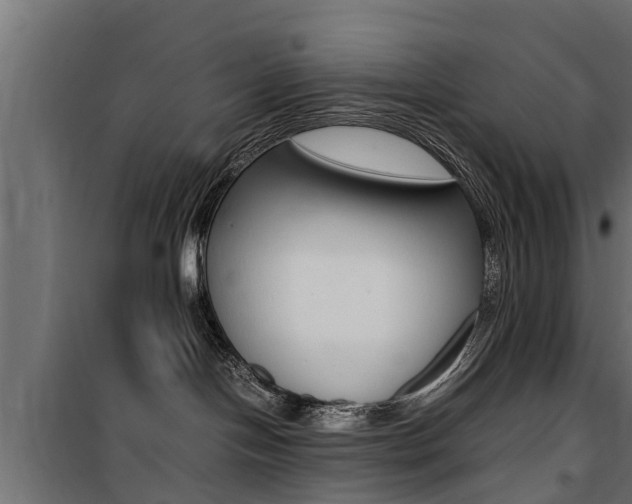 X0000100760094200806190920