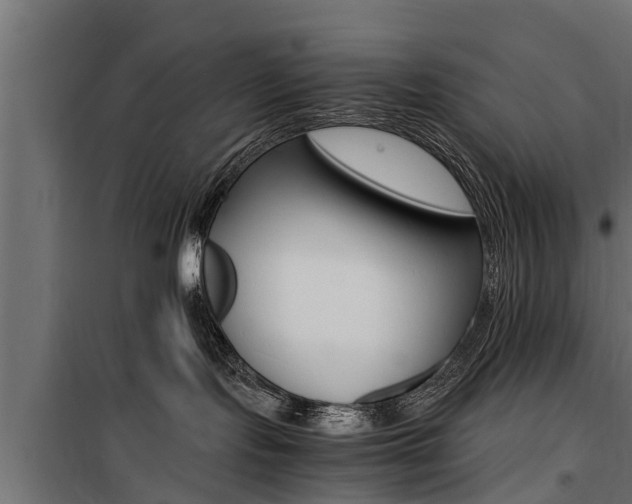 X0000100760095200806190920