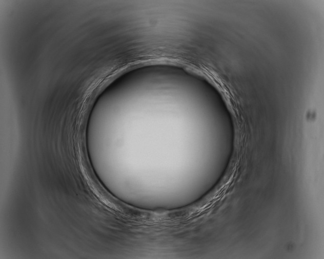 X0000100760097200806190919