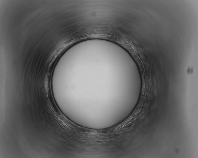 X0000100760098200806190919