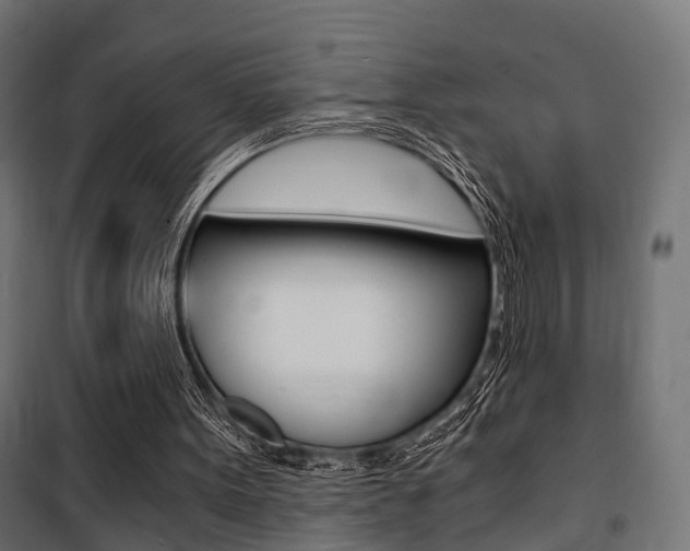 X0000100760099200806190919