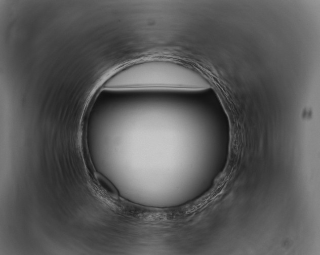 X0000100760100200806190919