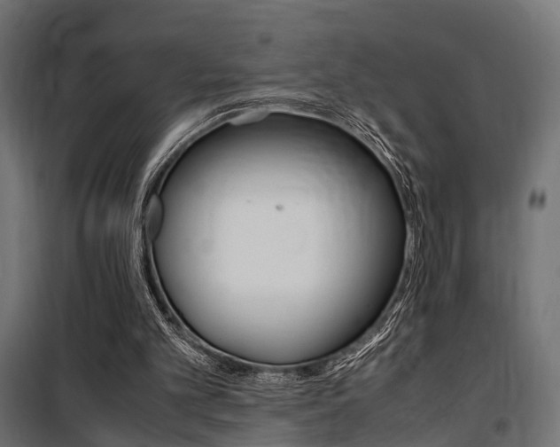 X0000100760101200806190919