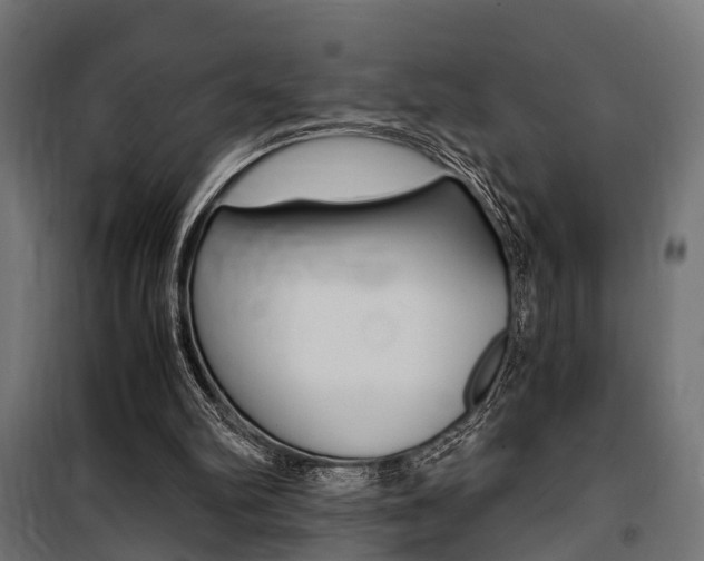 X0000100760102200806190919