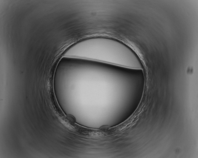 X0000100760105200806190919