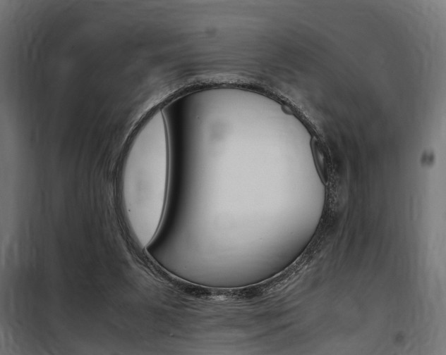 X0000100760111200806190919