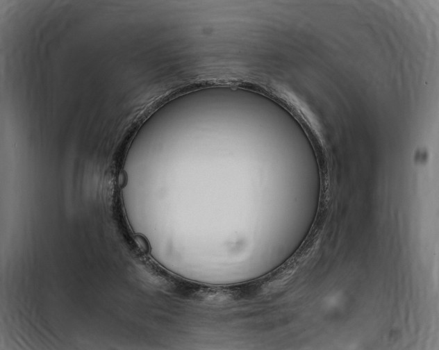 X0000100760113200806190918