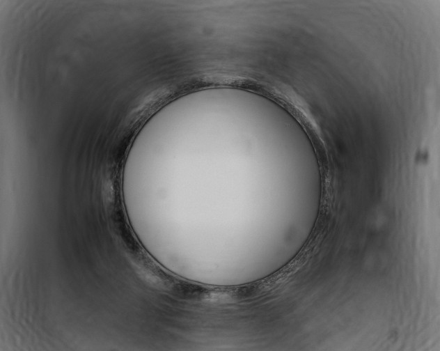 X0000100760114200806190918