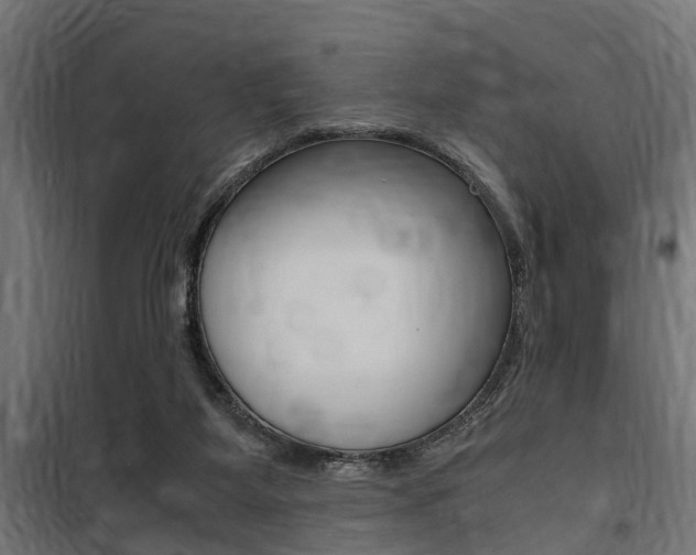 X0000100760115200806190918