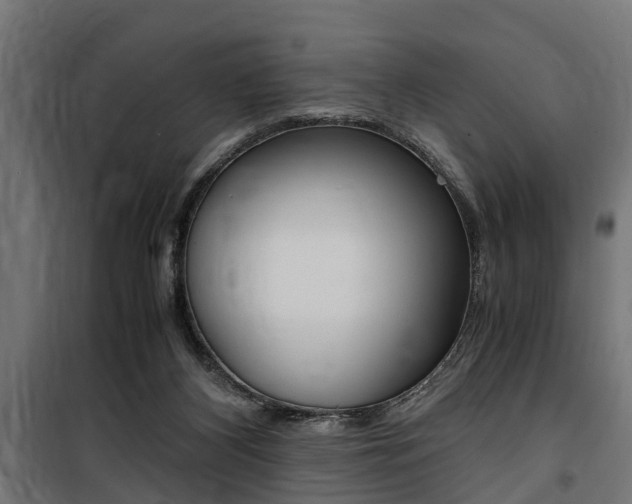 X0000100760116200806190918