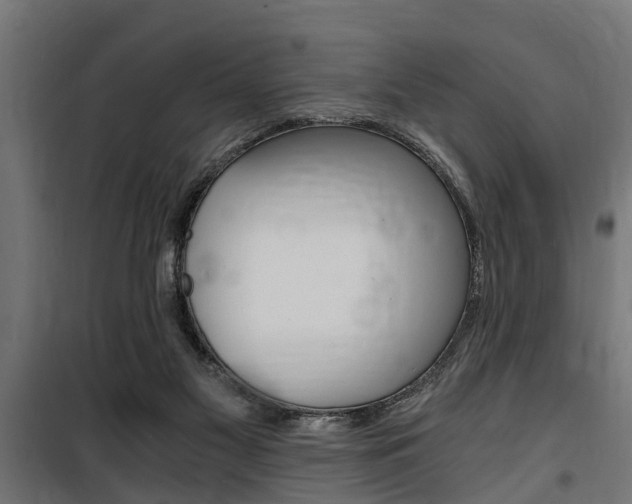 X0000100760117200806190918