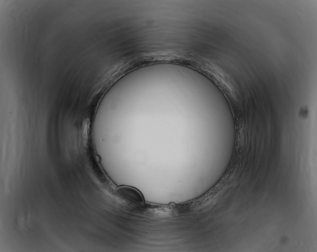 X0000100760118200806190918