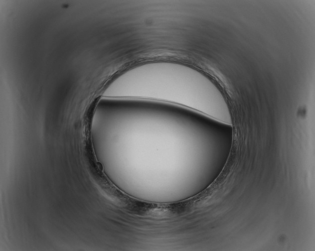 X0000100760119200806190918