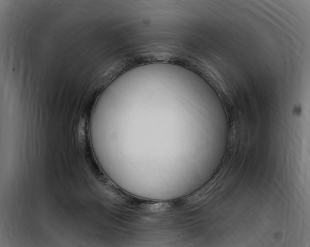 X0000100760122200806190918