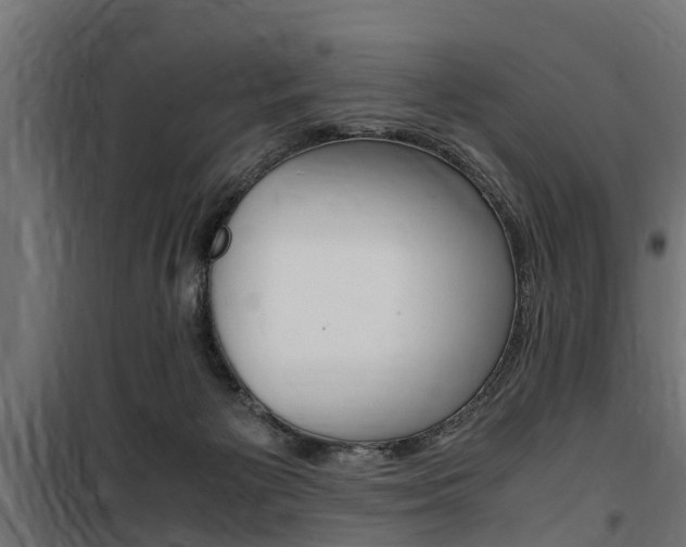 X0000100760125200806190918