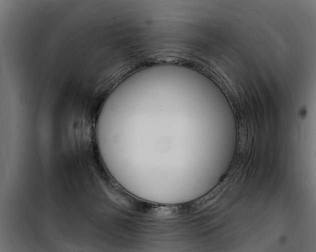 X0000100760126200806190918