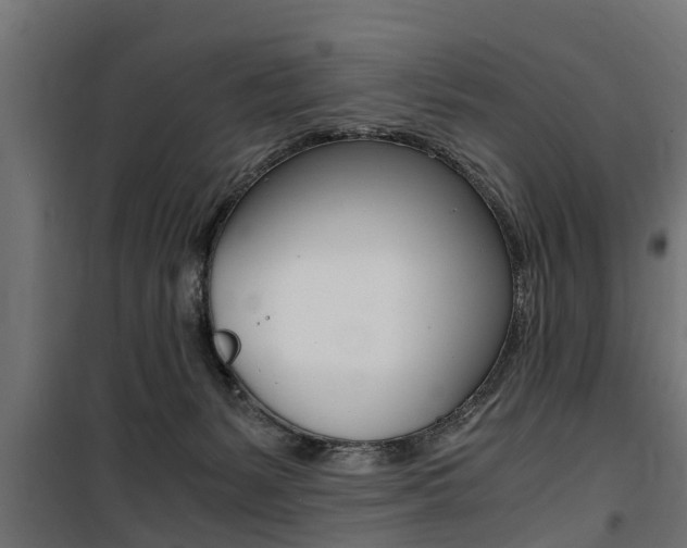 X0000100760127200806190918