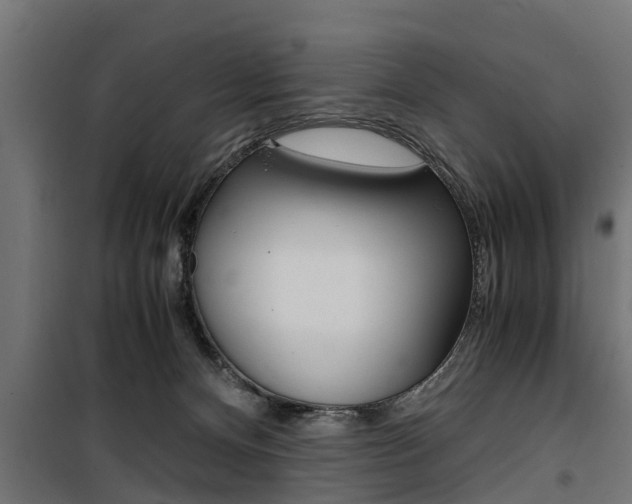 X0000100760128200806190918