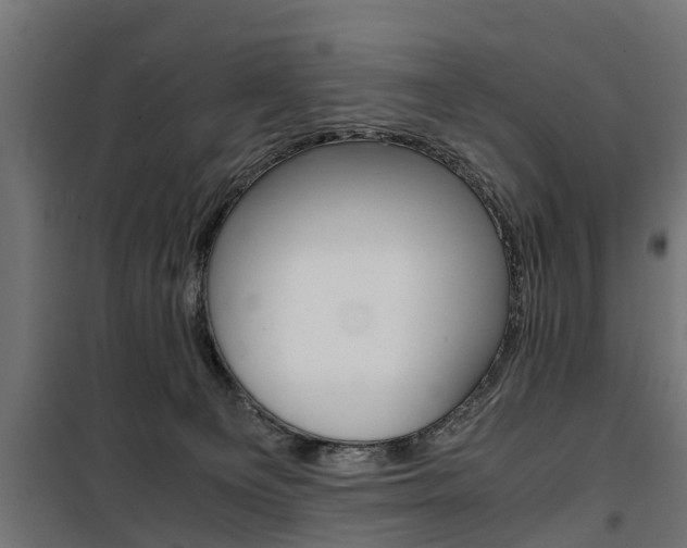 X0000100760129200806190918