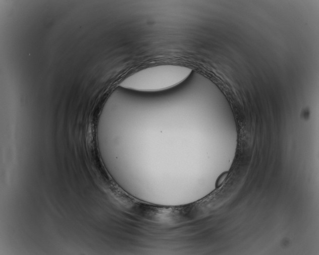 X0000100760130200806190918