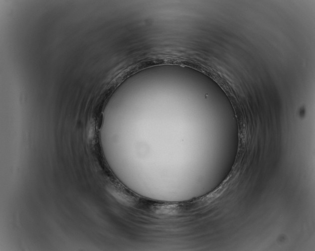 X0000100760132200806190918