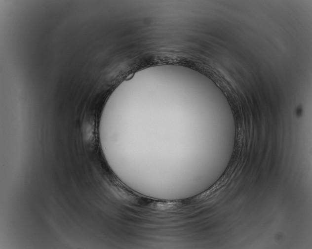 X0000100760134200806190918