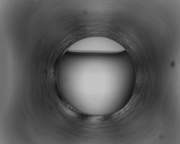 X0000100760136200806190918