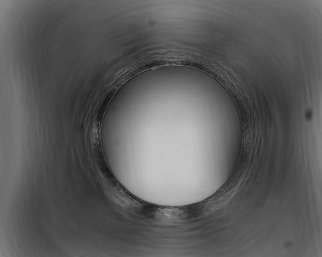 X0000100760137200806190918