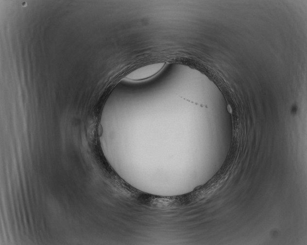 X0000100760139200806190918